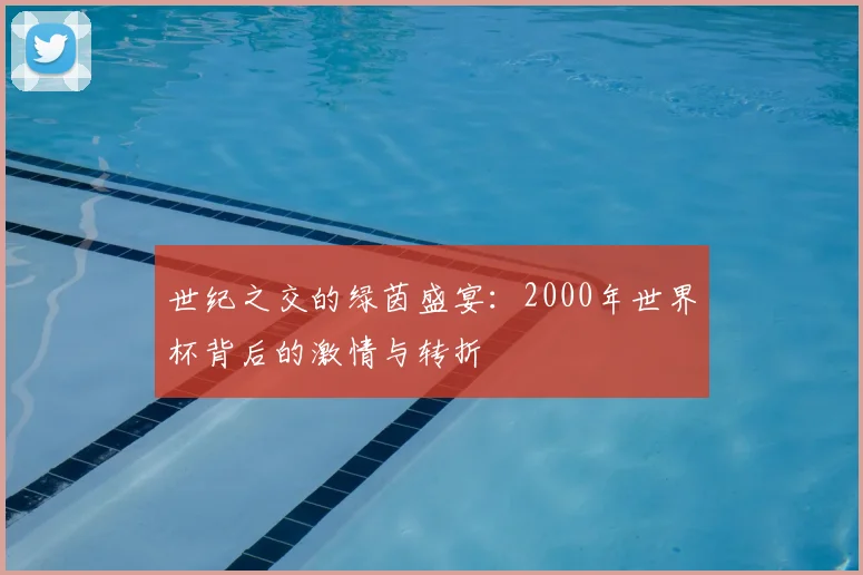 世纪之交的绿茵盛宴：2000年世界杯背后的激情与转折