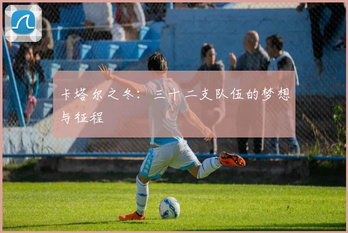 卡塔尔之冬：三十二支队伍的梦想与征程