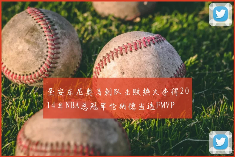 圣安东尼奥马刺队击败热火夺得2014年NBA总冠军伦纳德当选FMVP