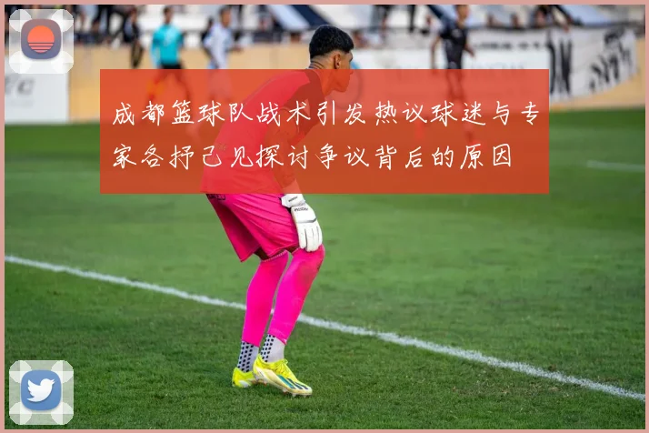 成都篮球队战术引发热议球迷与专家各抒己见探讨争议背后的原因