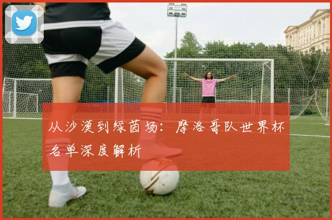从沙漠到绿茵场:摩洛哥队世界杯名单深度解析