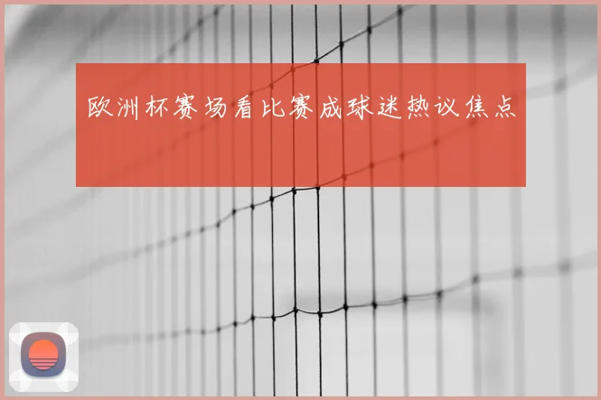 欧洲杯赛场看比赛成球迷热议焦点
