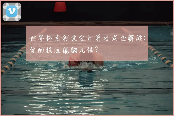 世界杯竞彩奖金计算方式全解读:你的投注能翻几倍?