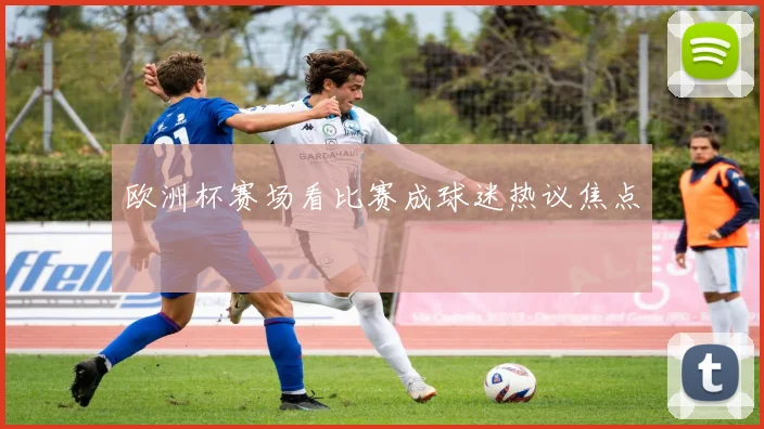 欧洲杯赛场看比赛成球迷热议焦点