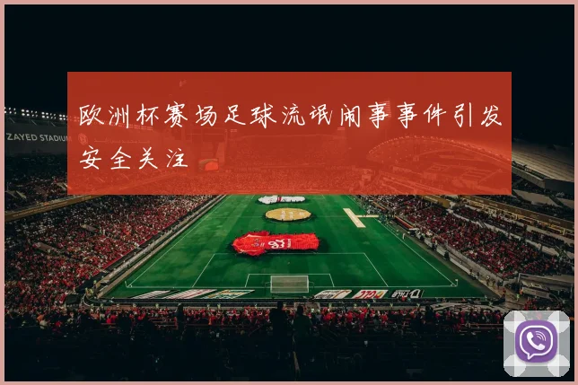 欧洲杯赛场足球流氓闹事事件引发安全关注