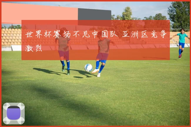 世界杯赛场不见中国队 亚洲区竞争激烈