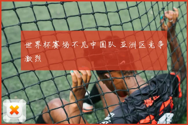 世界杯赛场不见中国队 亚洲区竞争激烈