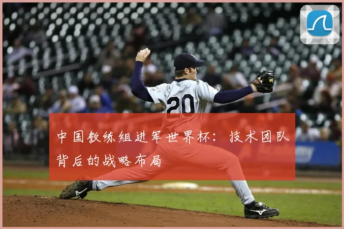 中国教练组进军世界杯：技术团队背后的战略布局