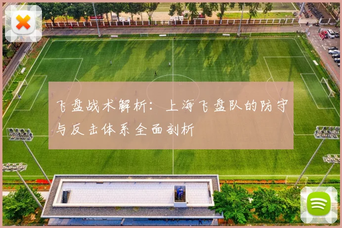 飞盘战术解析:上海飞盘队的防守与反击体系全面剖析