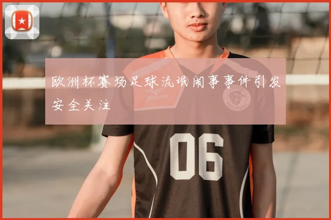 欧洲杯赛场足球流氓闹事事件引发安全关注