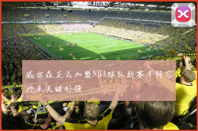 威尔森正式加盟NBA球队新赛季阵容迎来关键补强